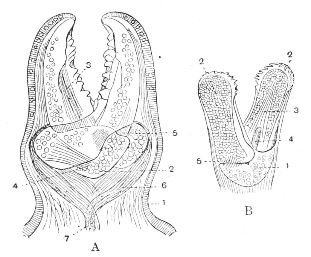 fig186