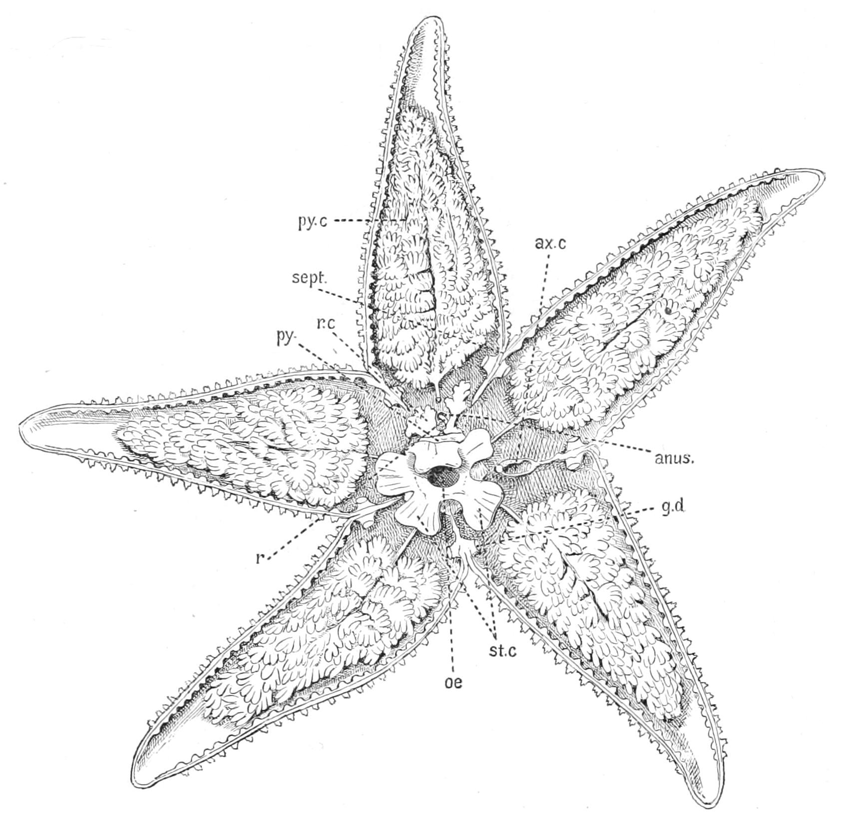 fig188