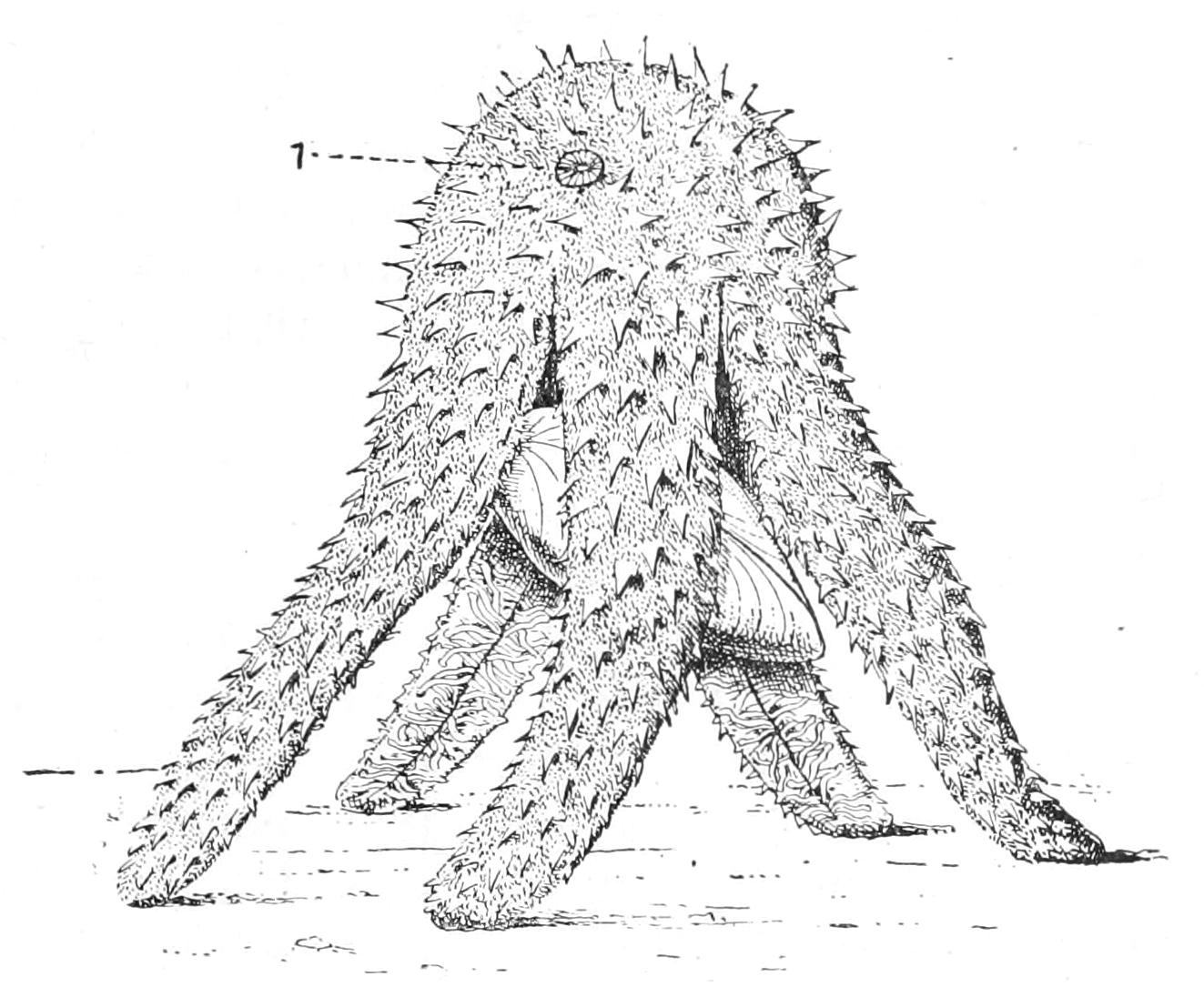 fig189