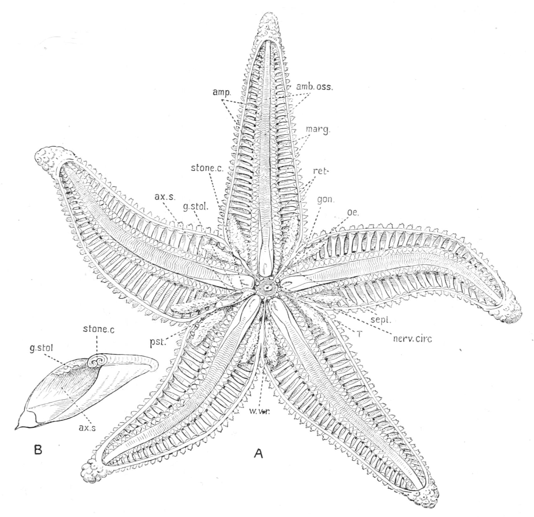 fig190