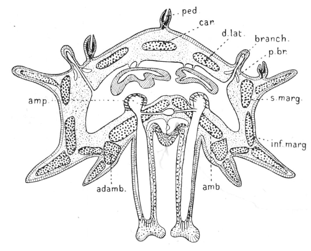 fig191