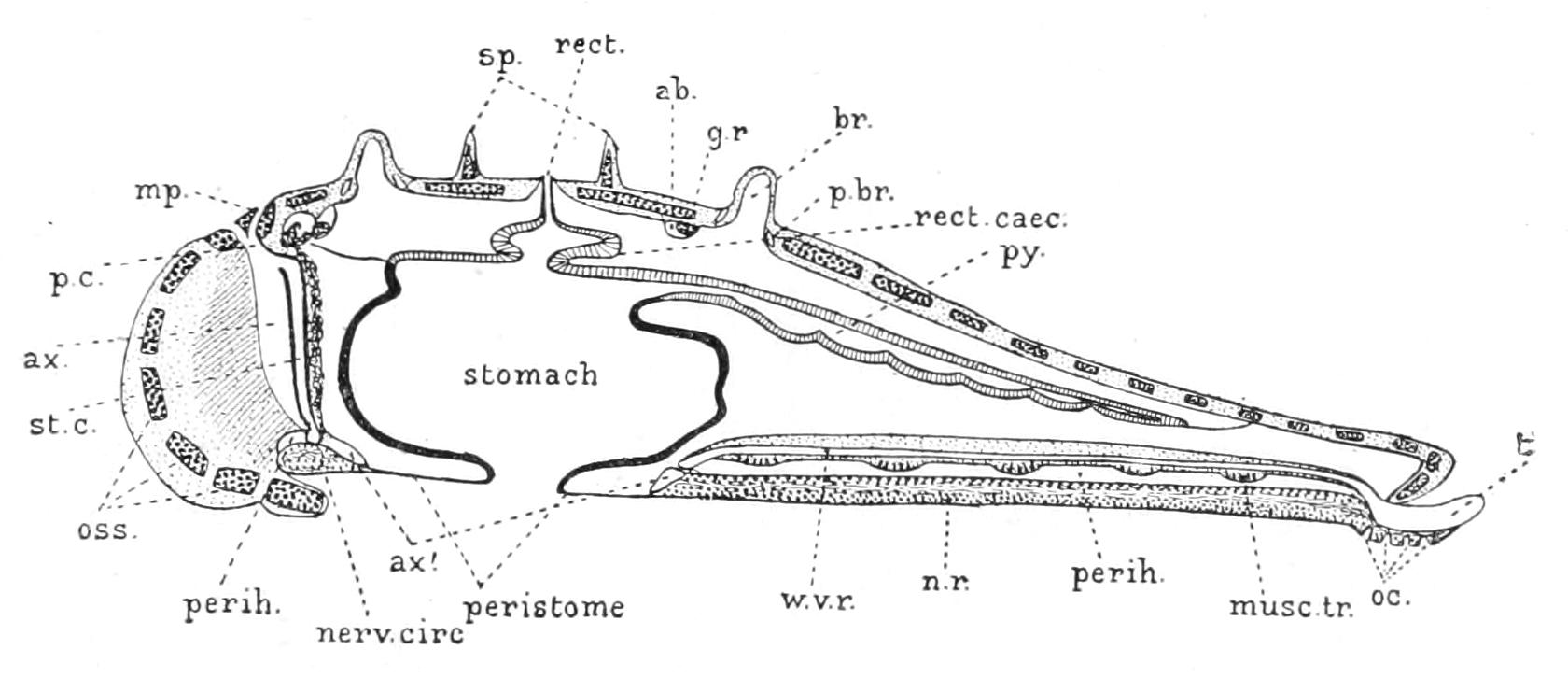 fig192