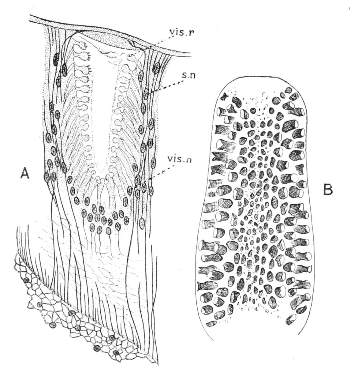 fig193