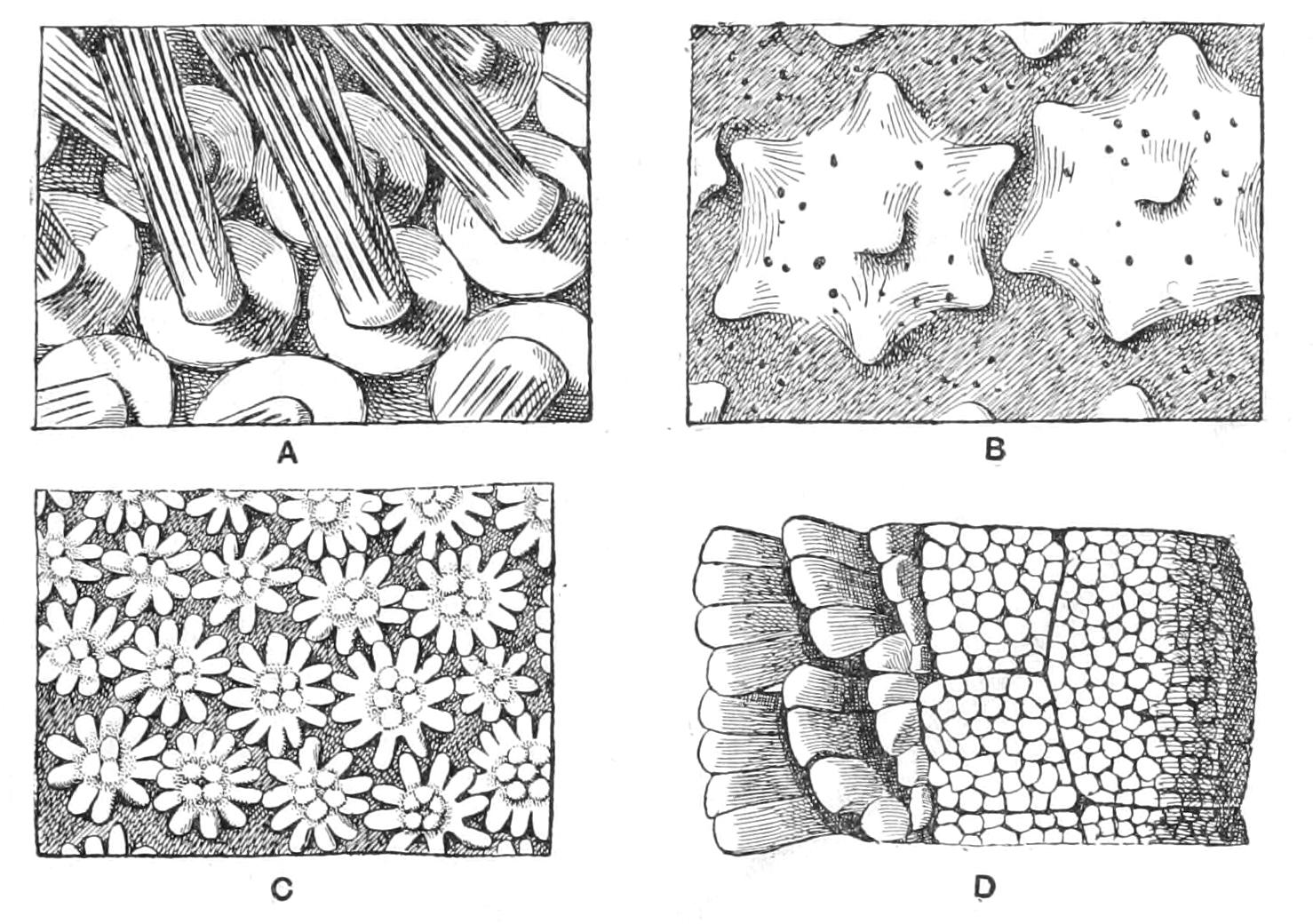 fig194