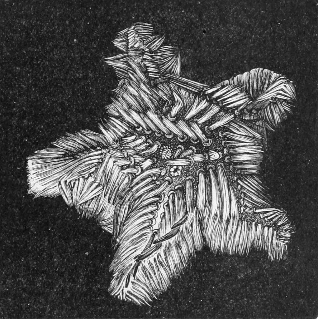 fig197