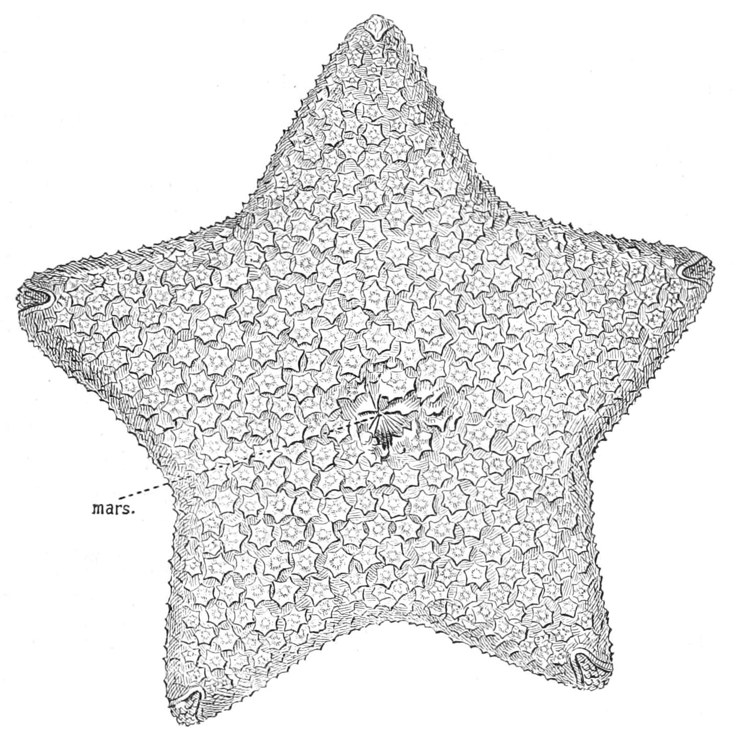 fig198