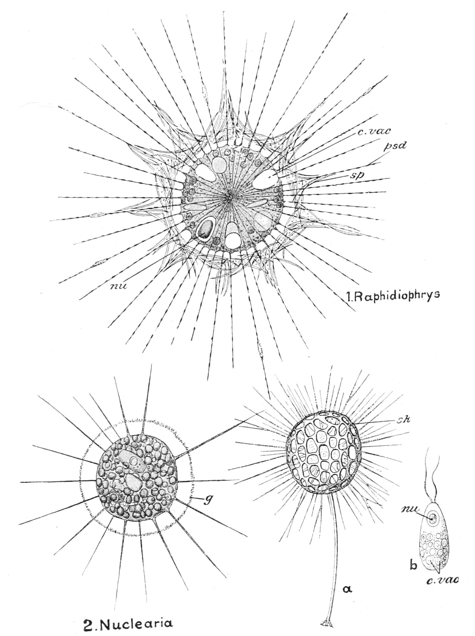 fig20