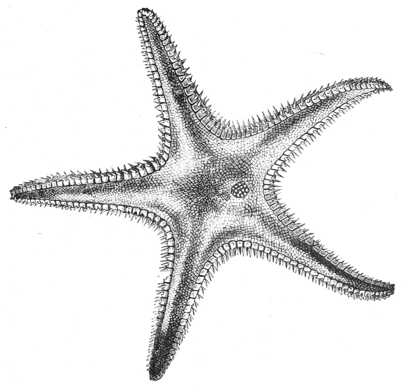 fig200
