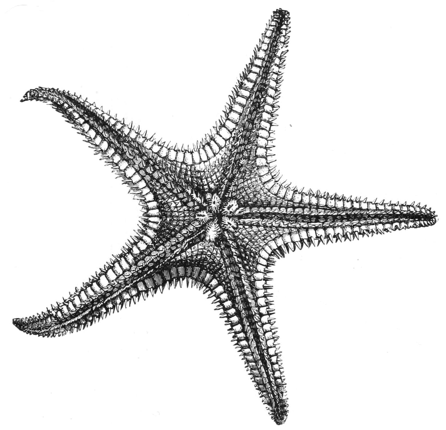 fig201