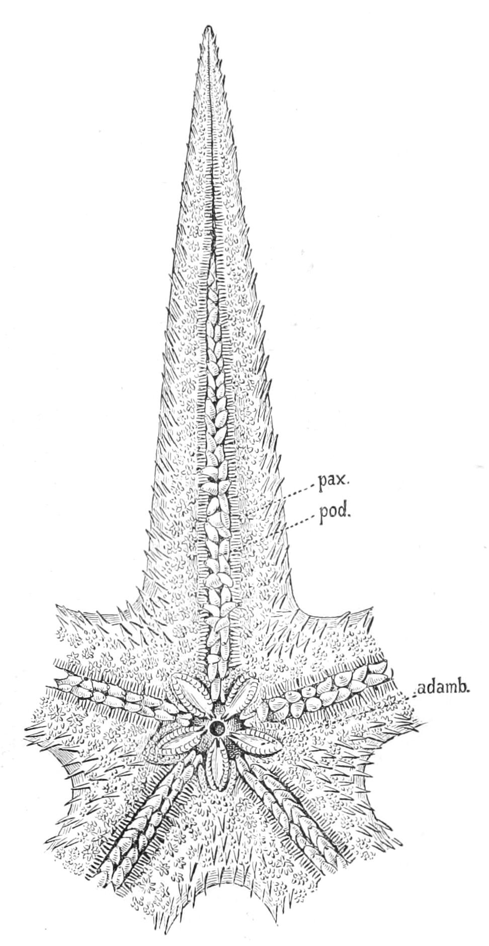 fig202