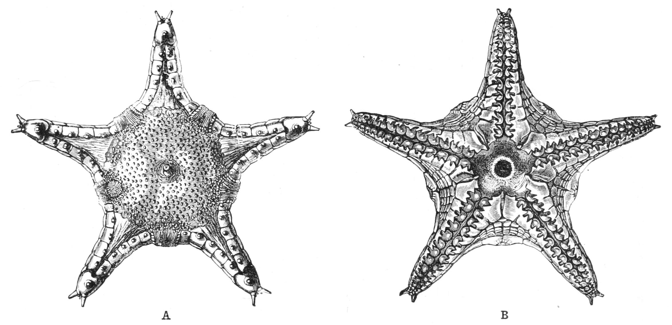 fig203