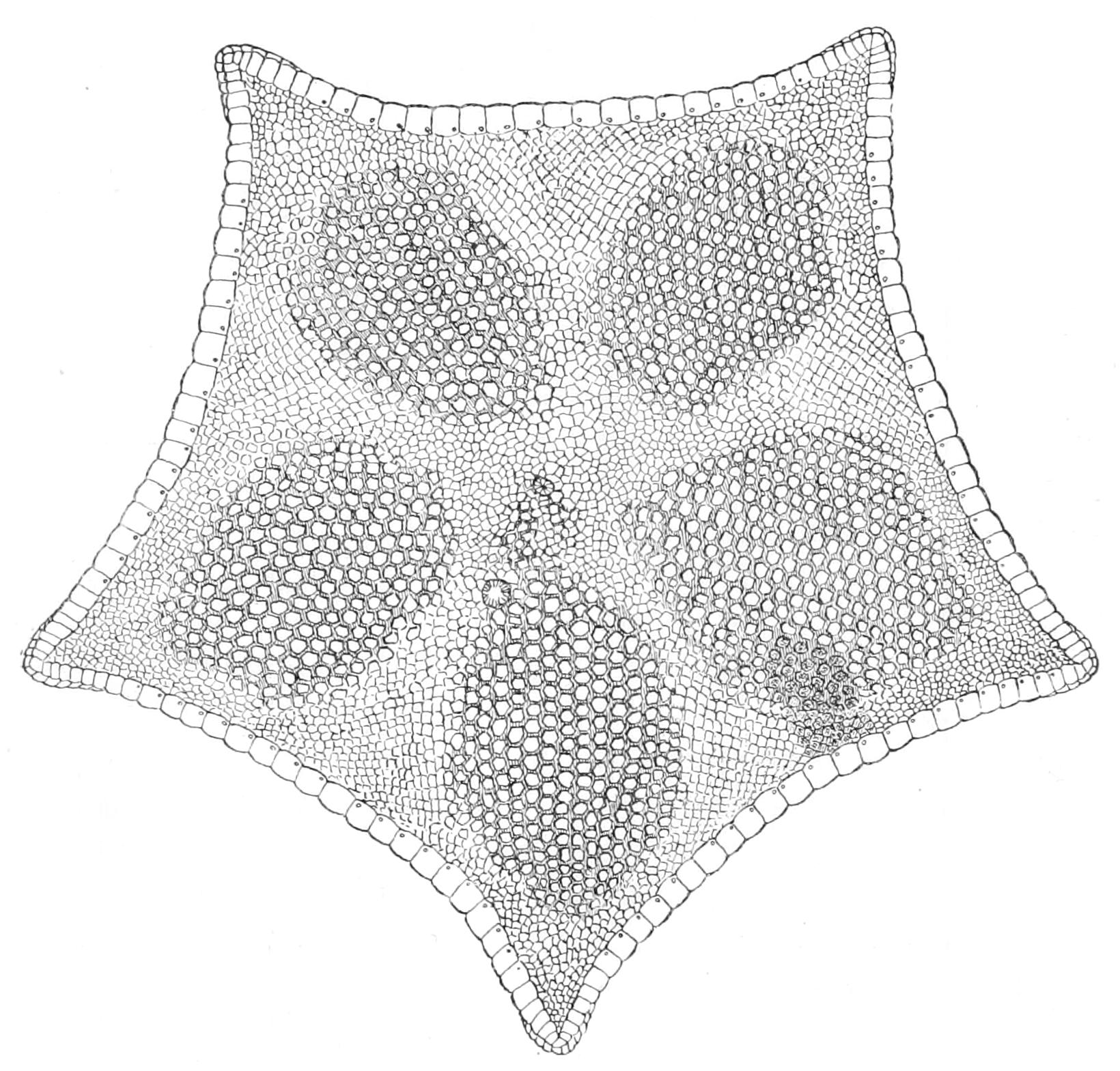 fig204