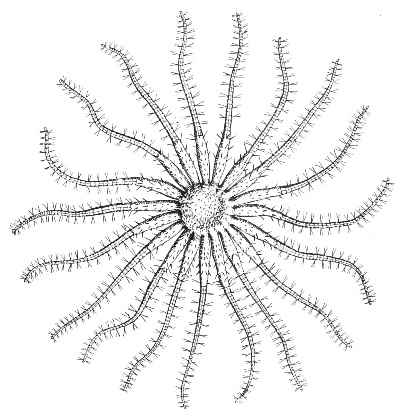fig205