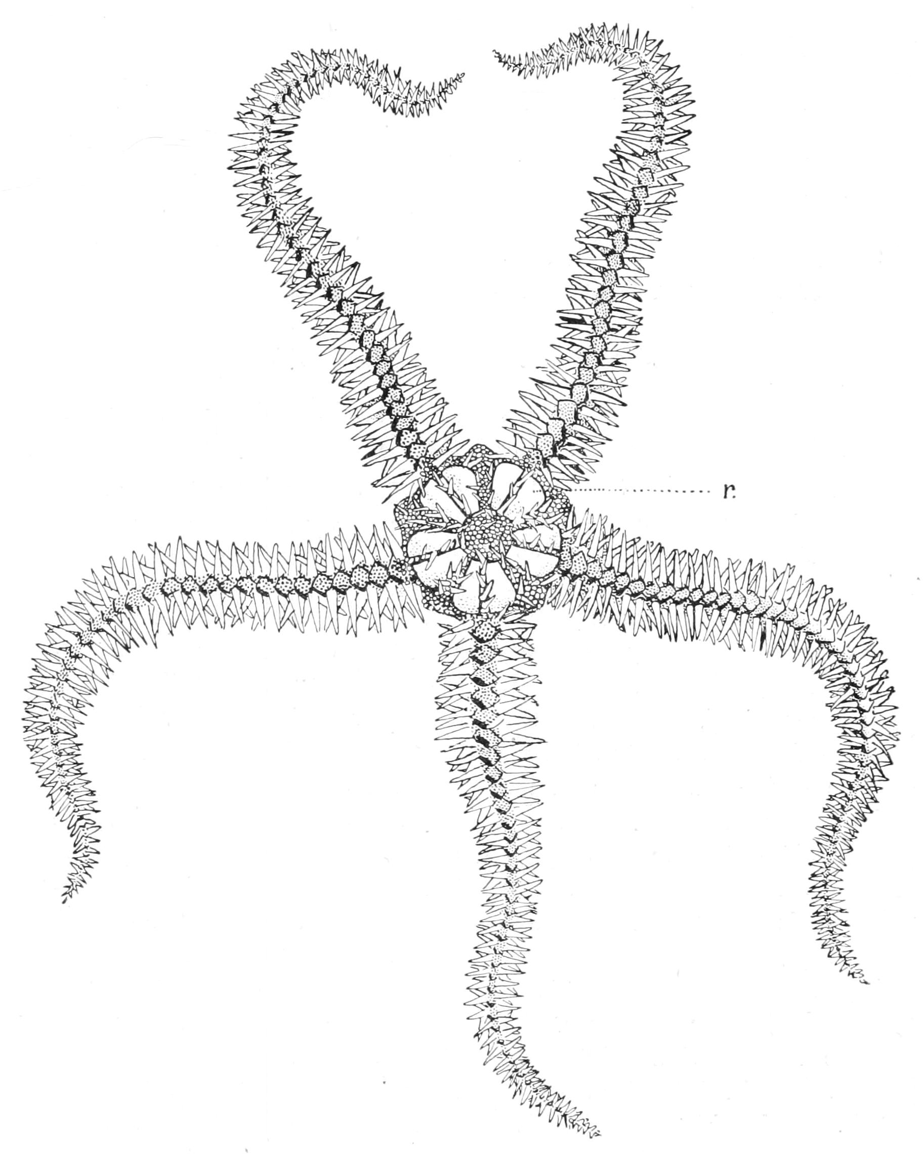 fig207