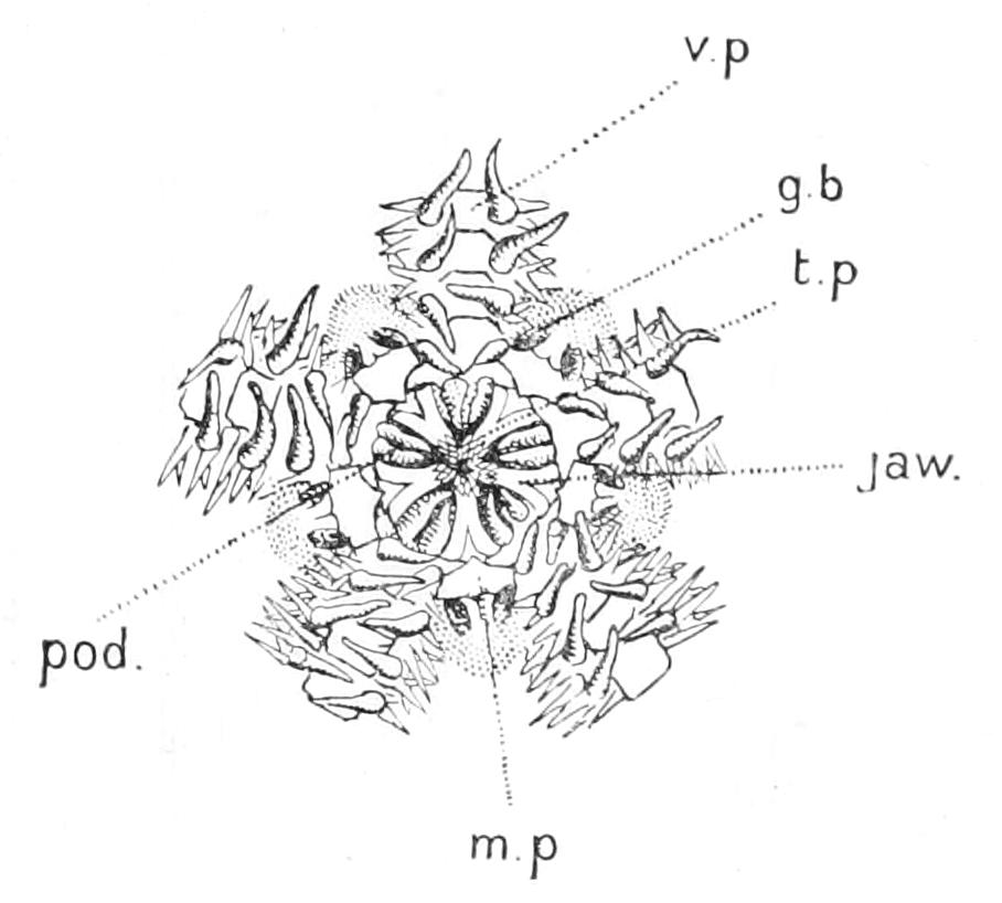 fig208