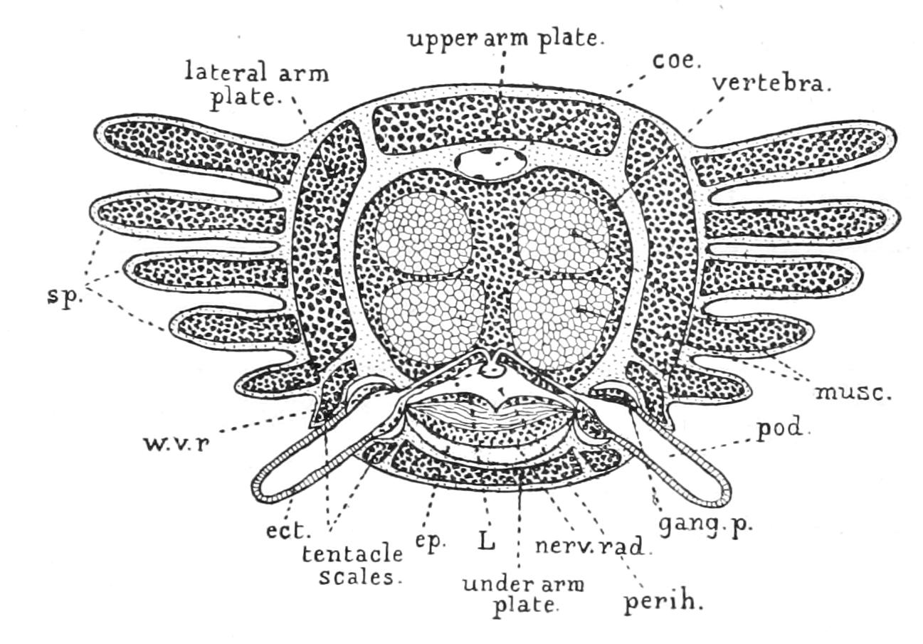 fig209