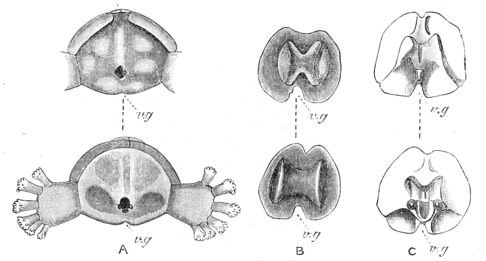 fig210
