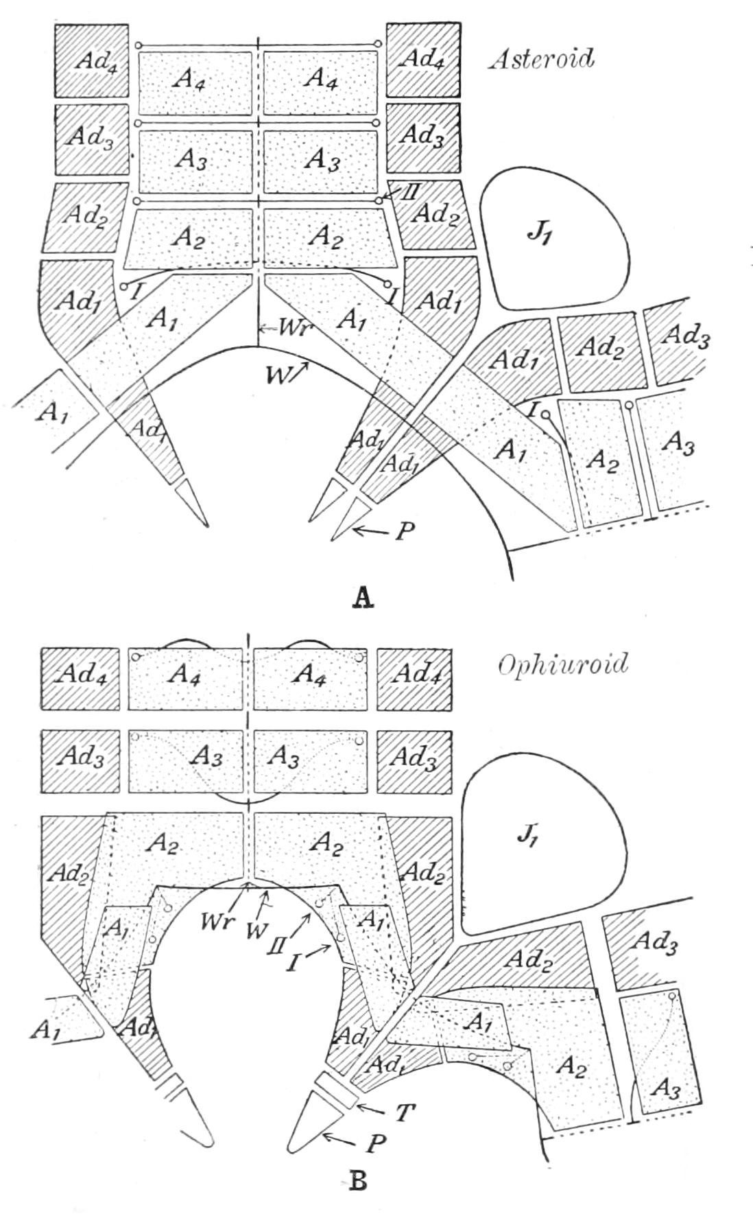 fig211
