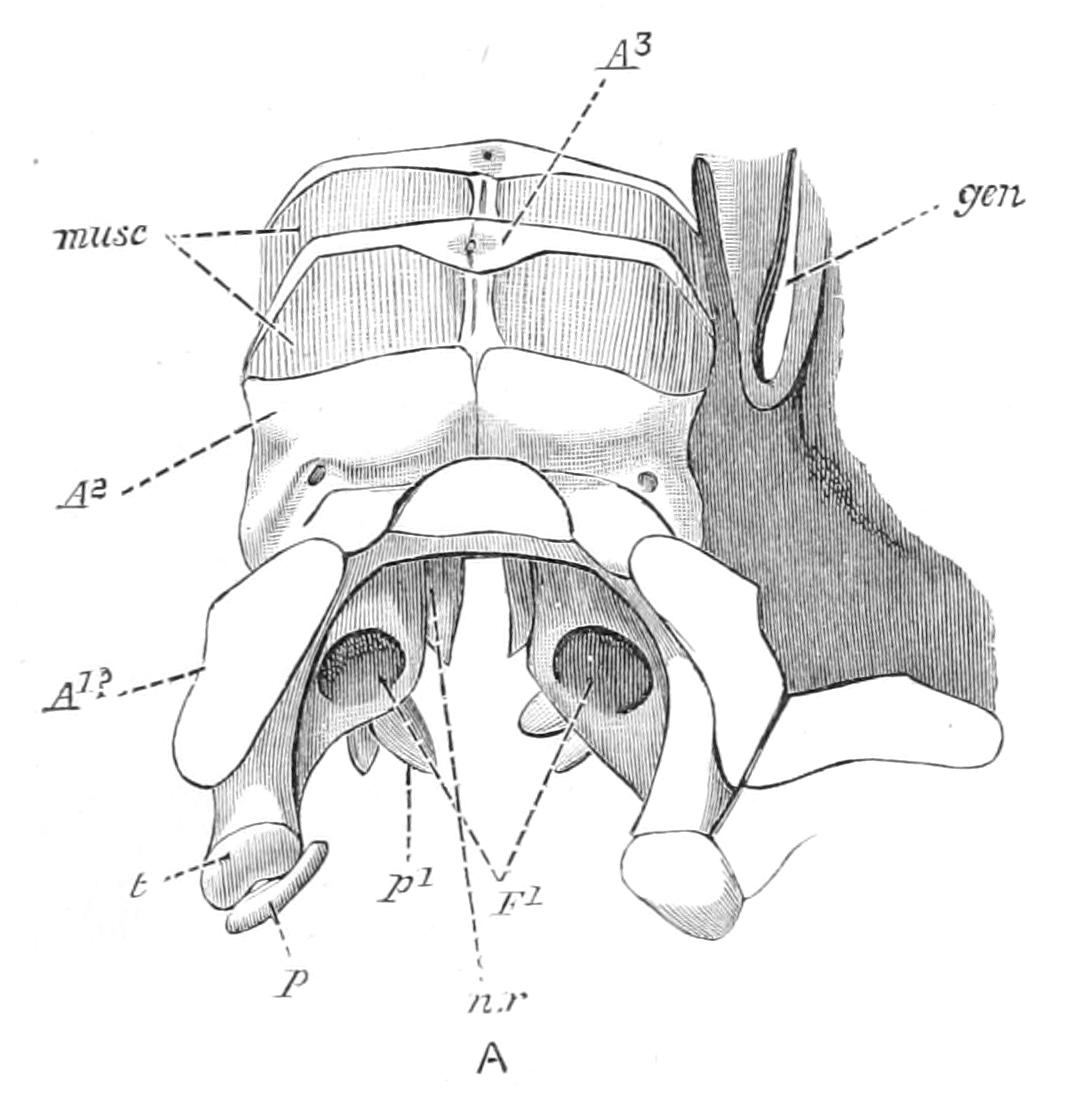 fig212