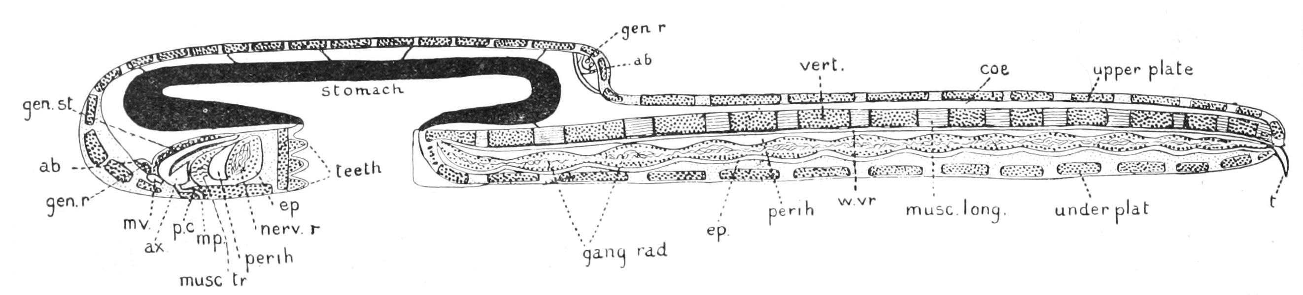 fig213