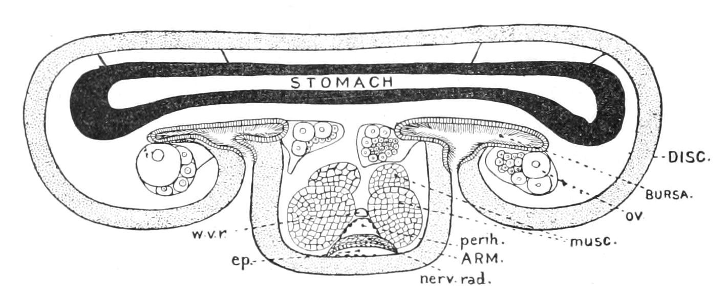 fig214