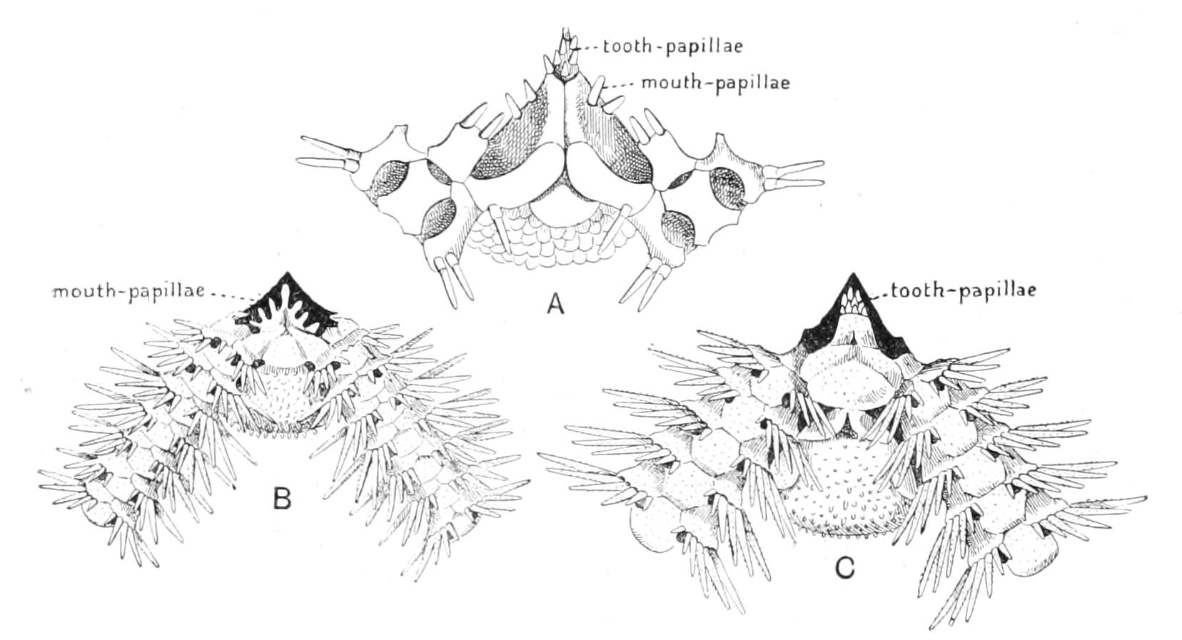 fig215