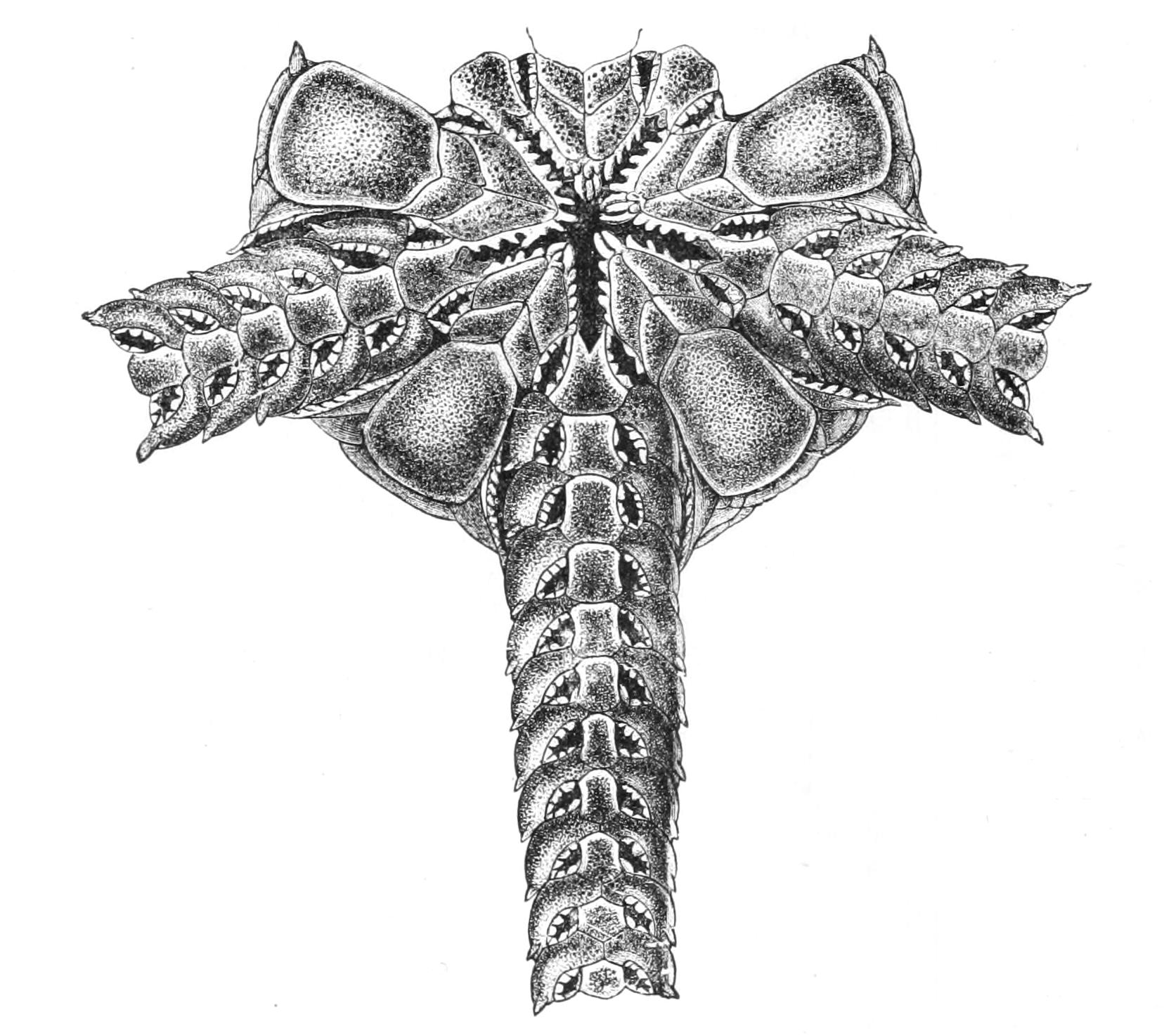 fig218