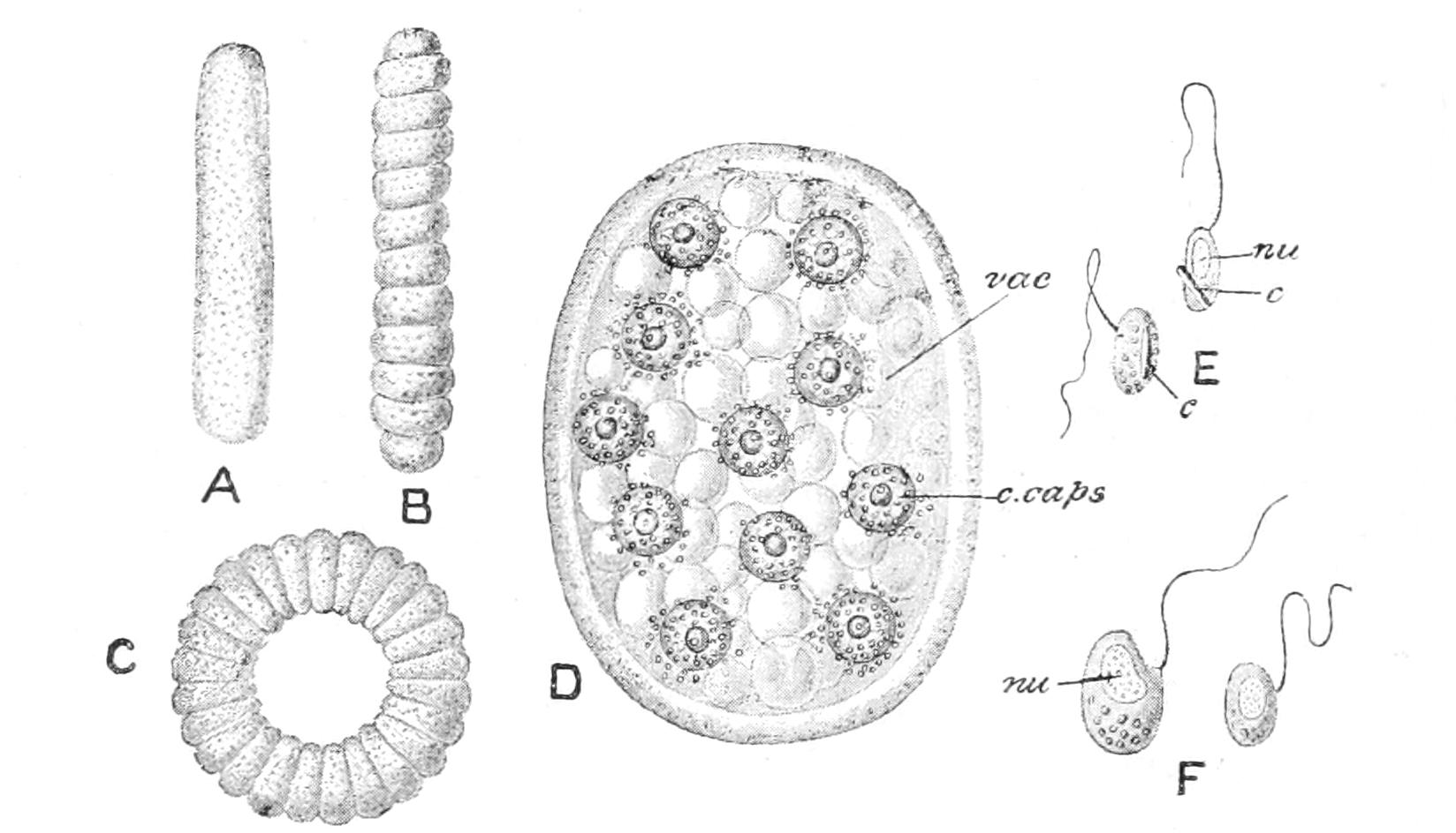 fig22