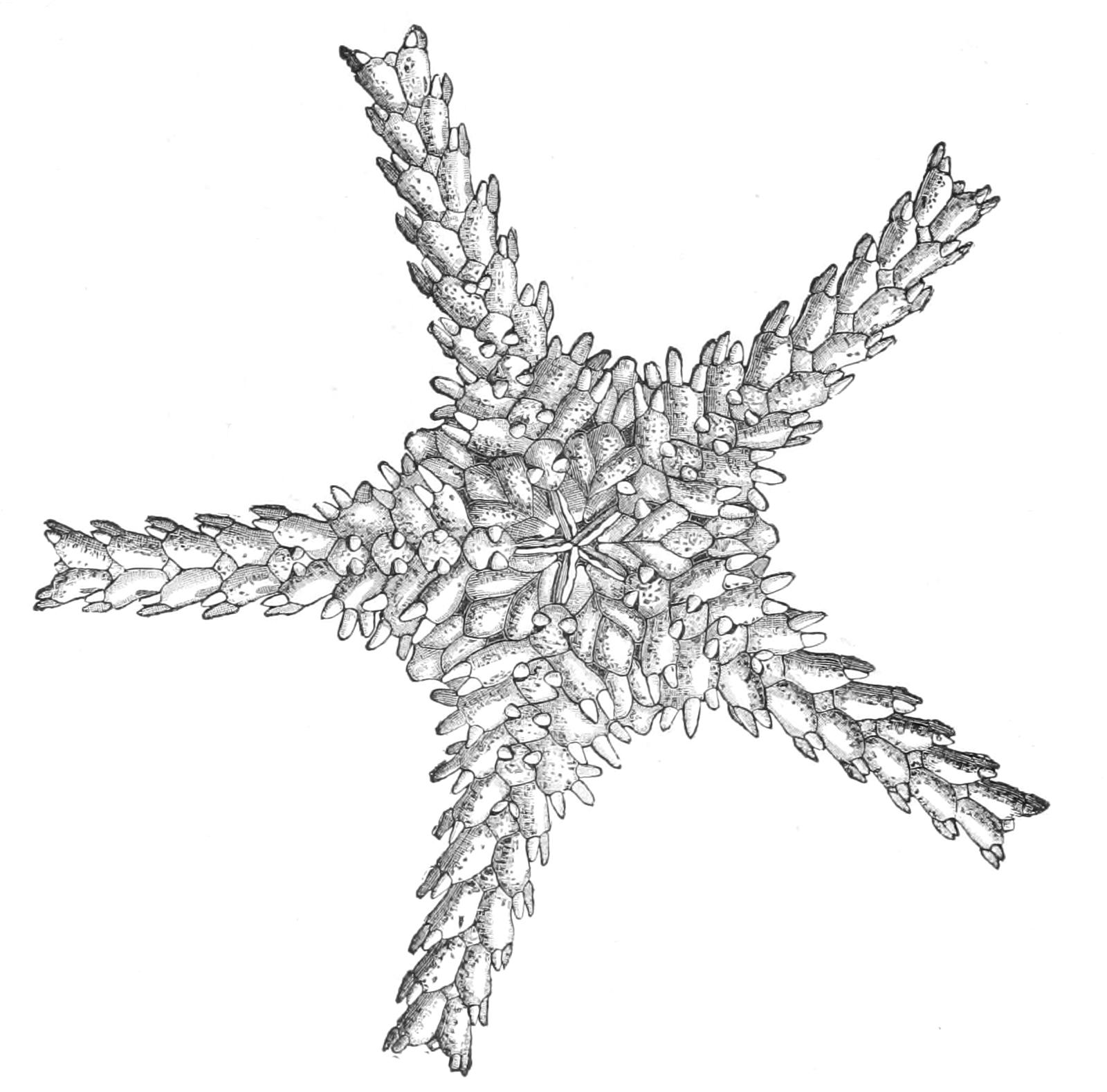 fig220