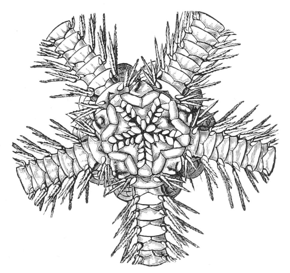 fig221