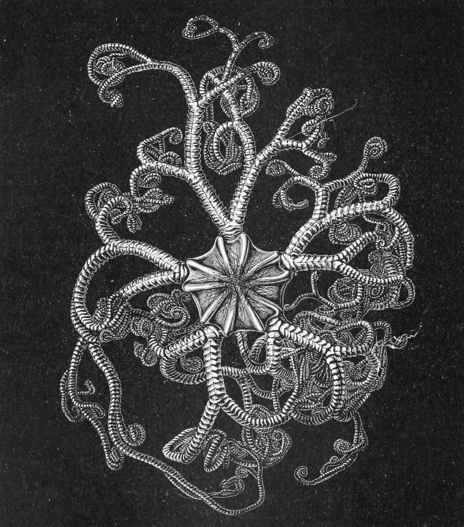 fig222