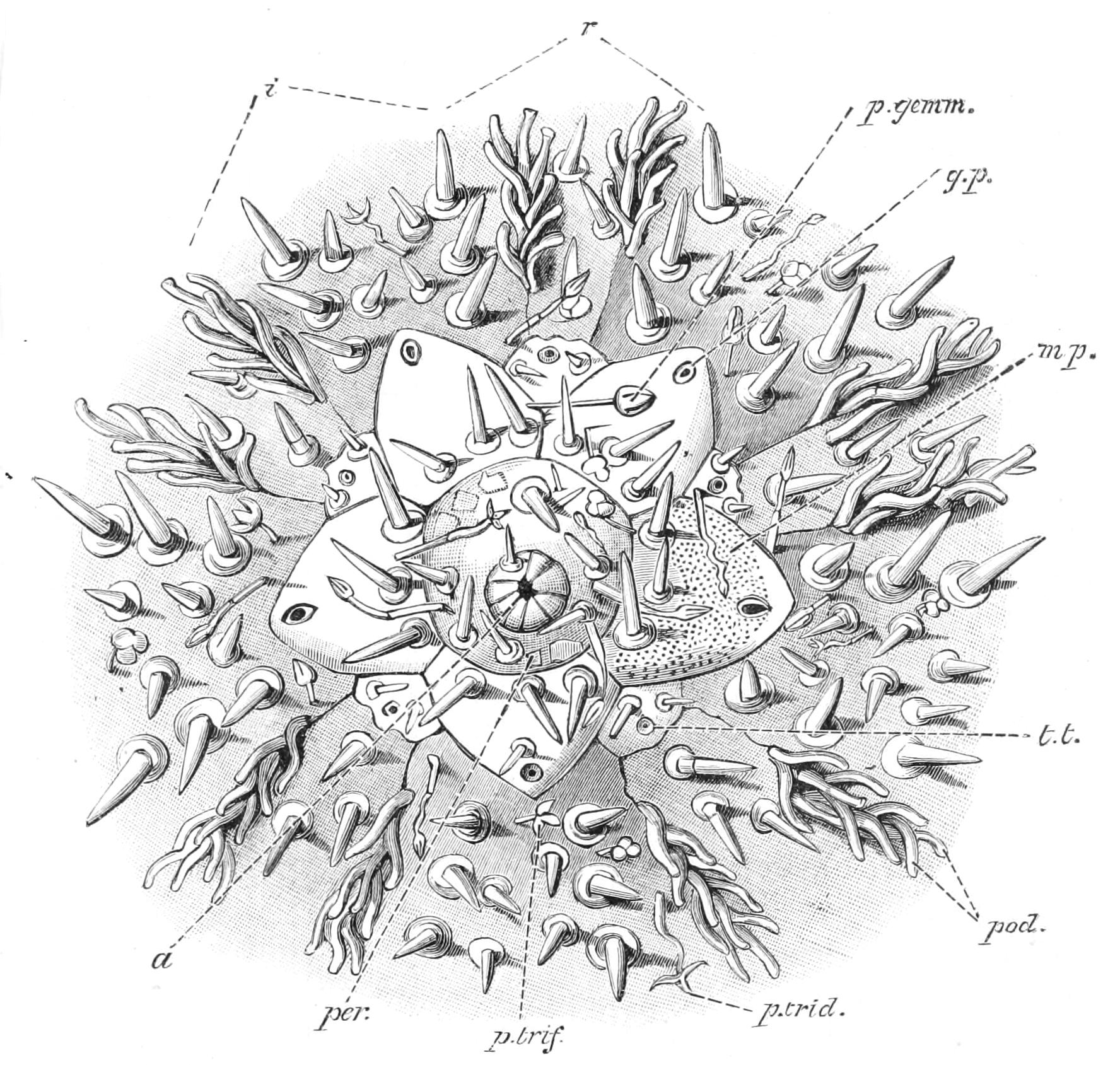 fig224
