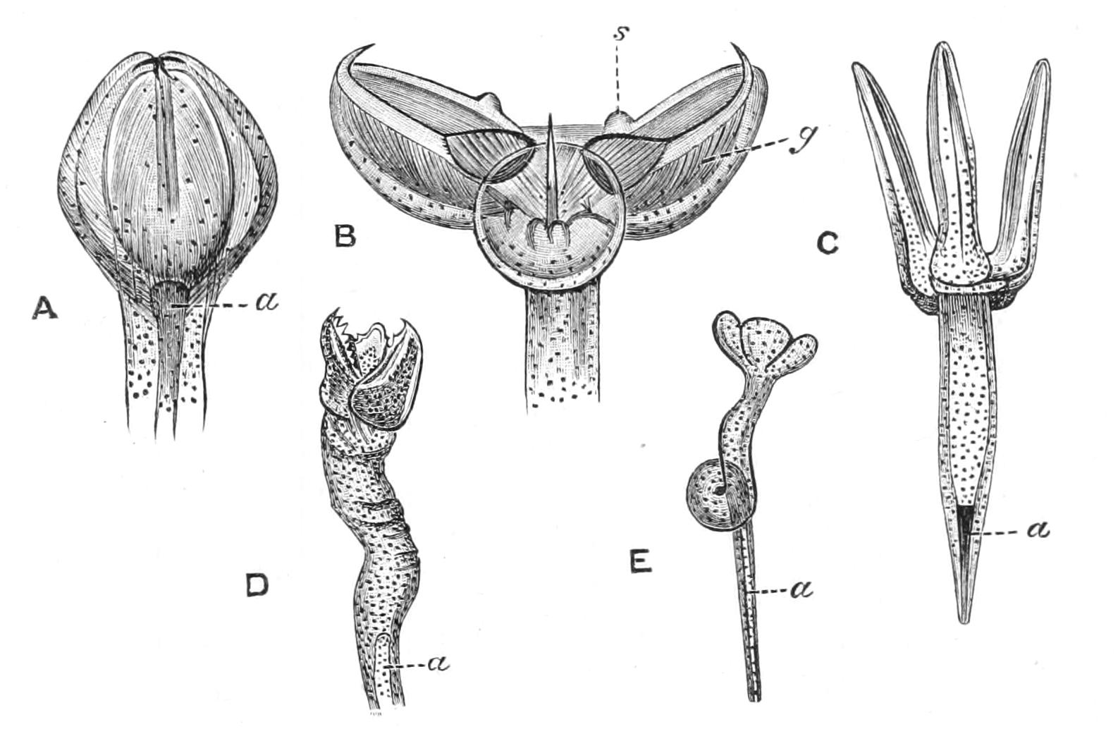 fig225