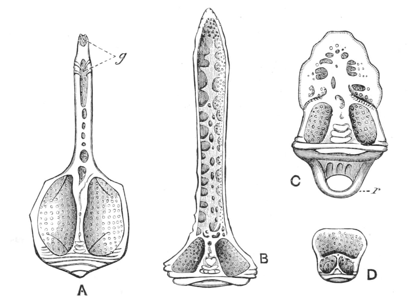 fig226