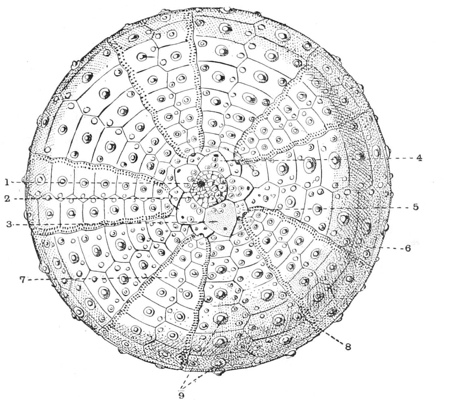 fig227