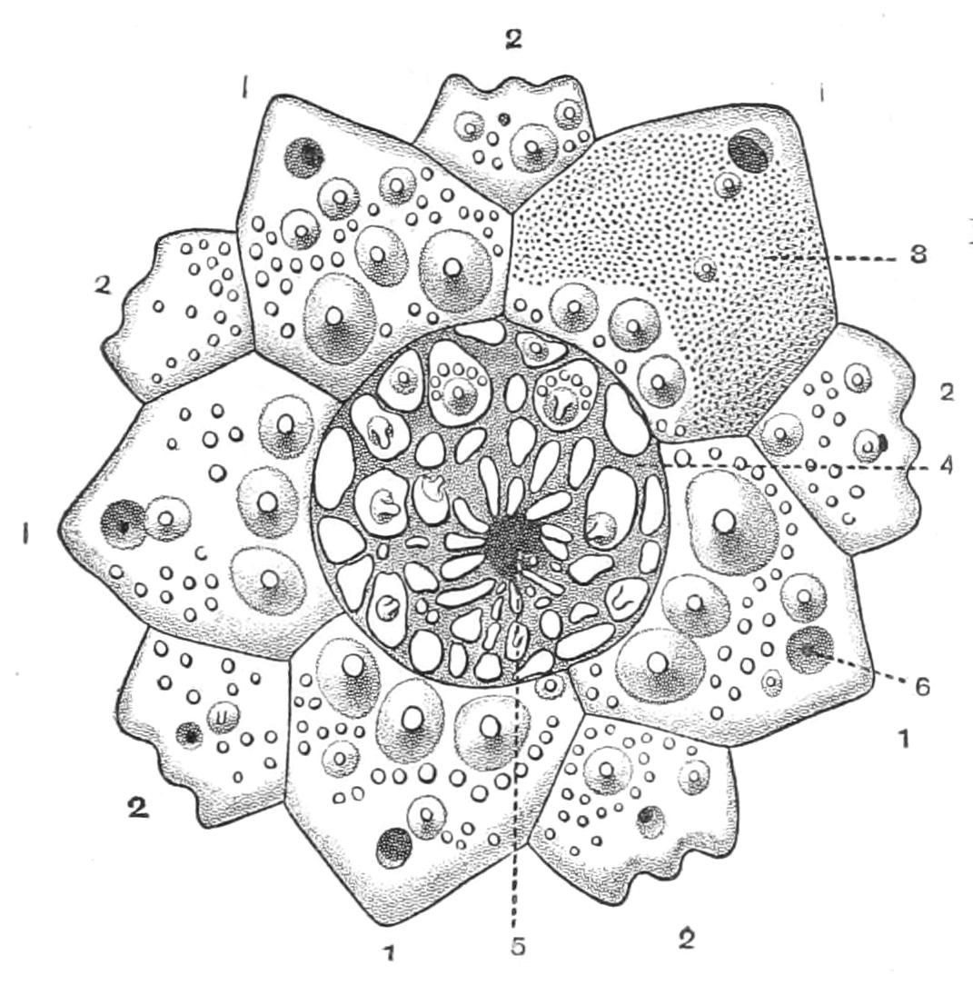 fig228