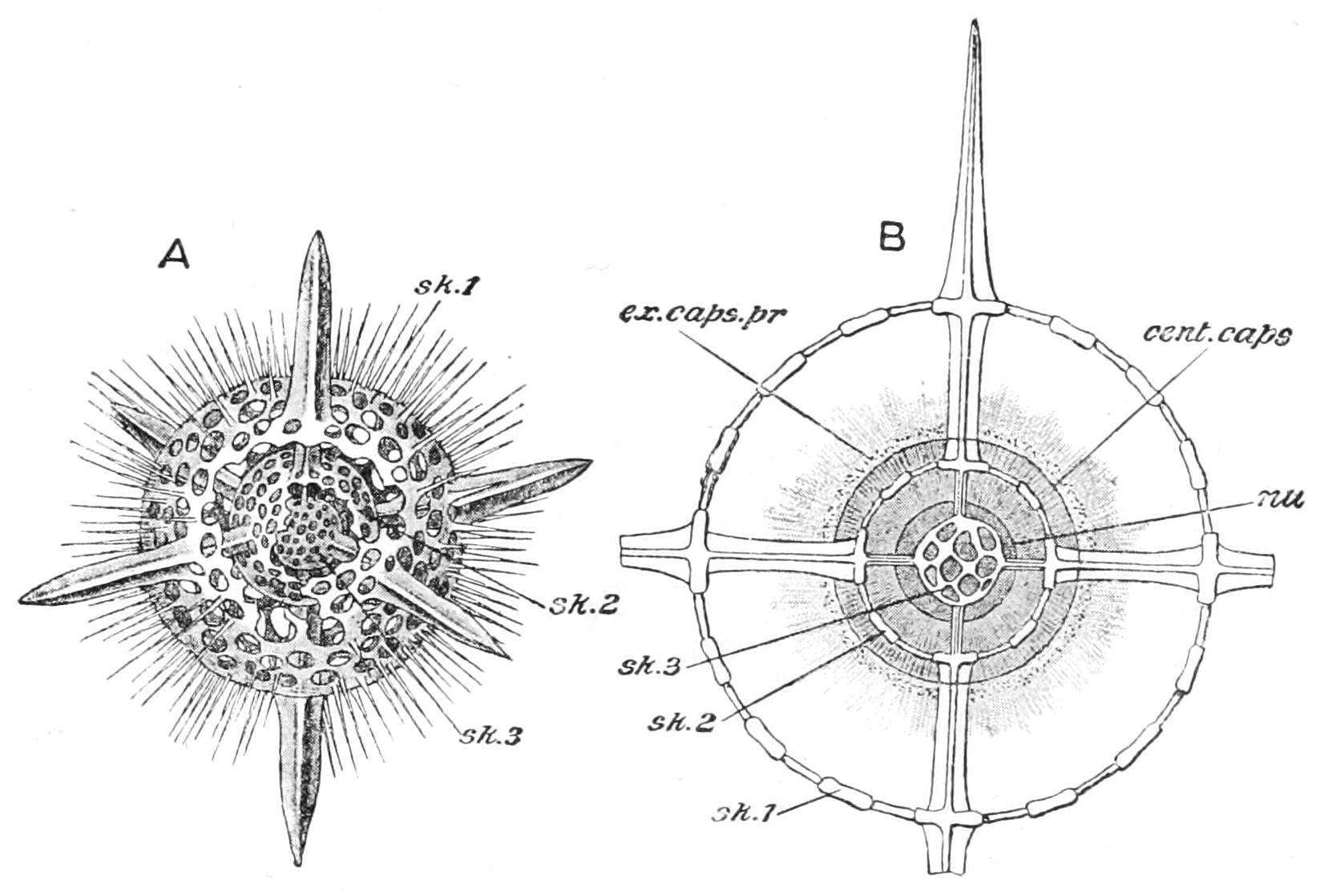 fig23
