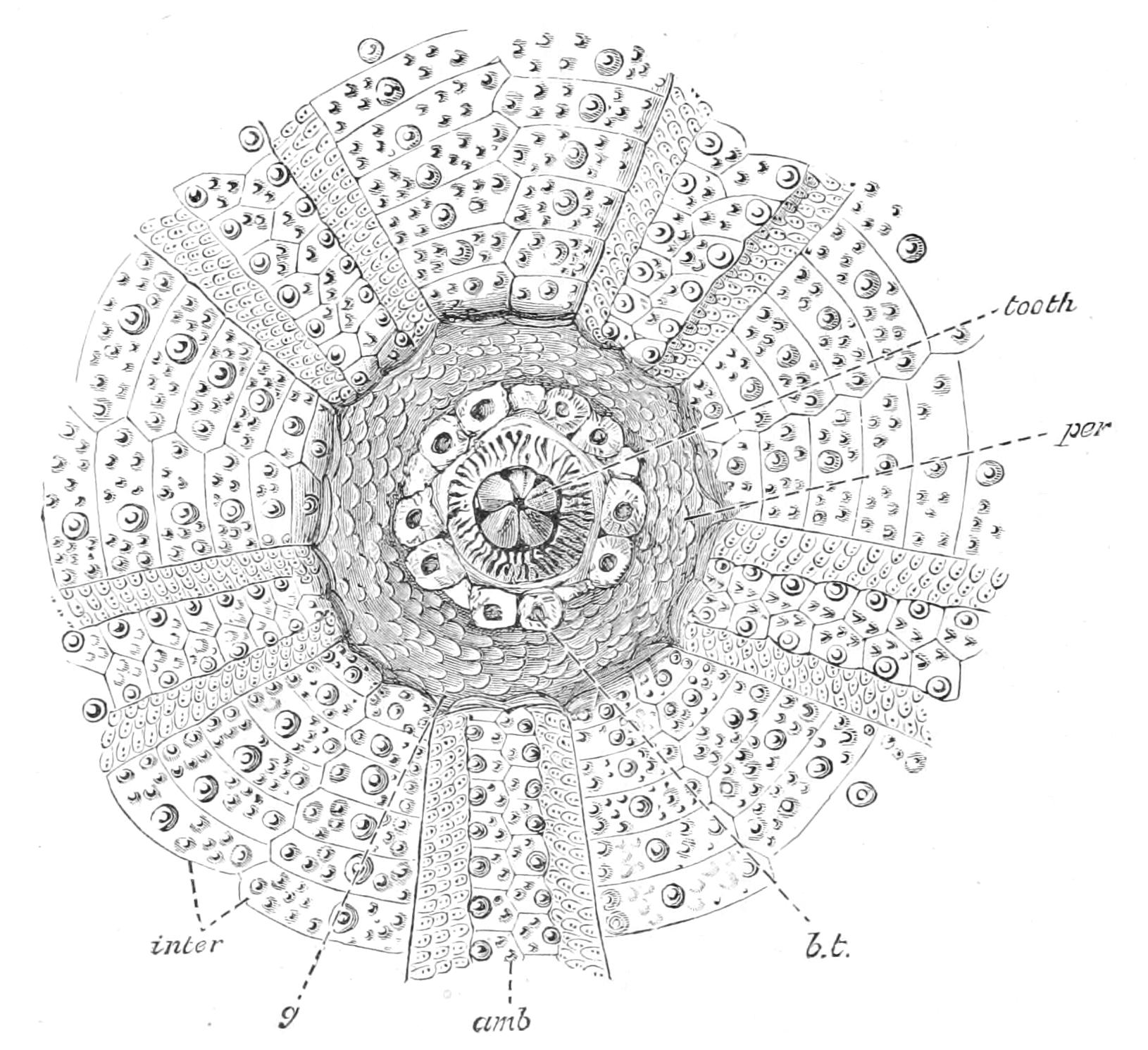 fig230