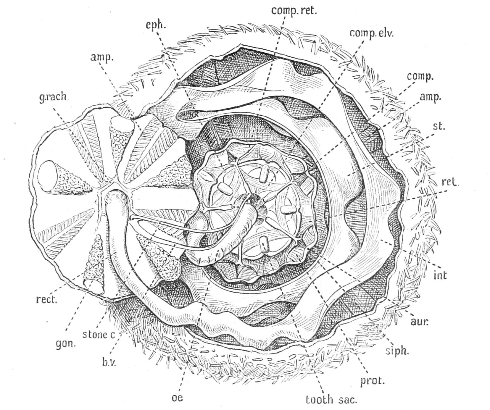 fig231
