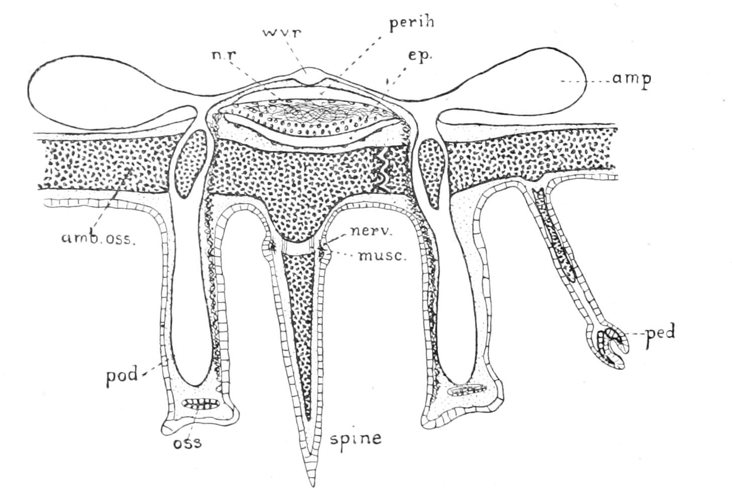 fig232