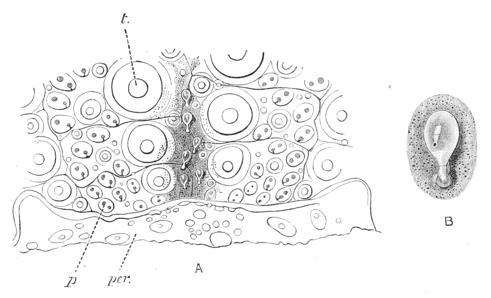 fig233