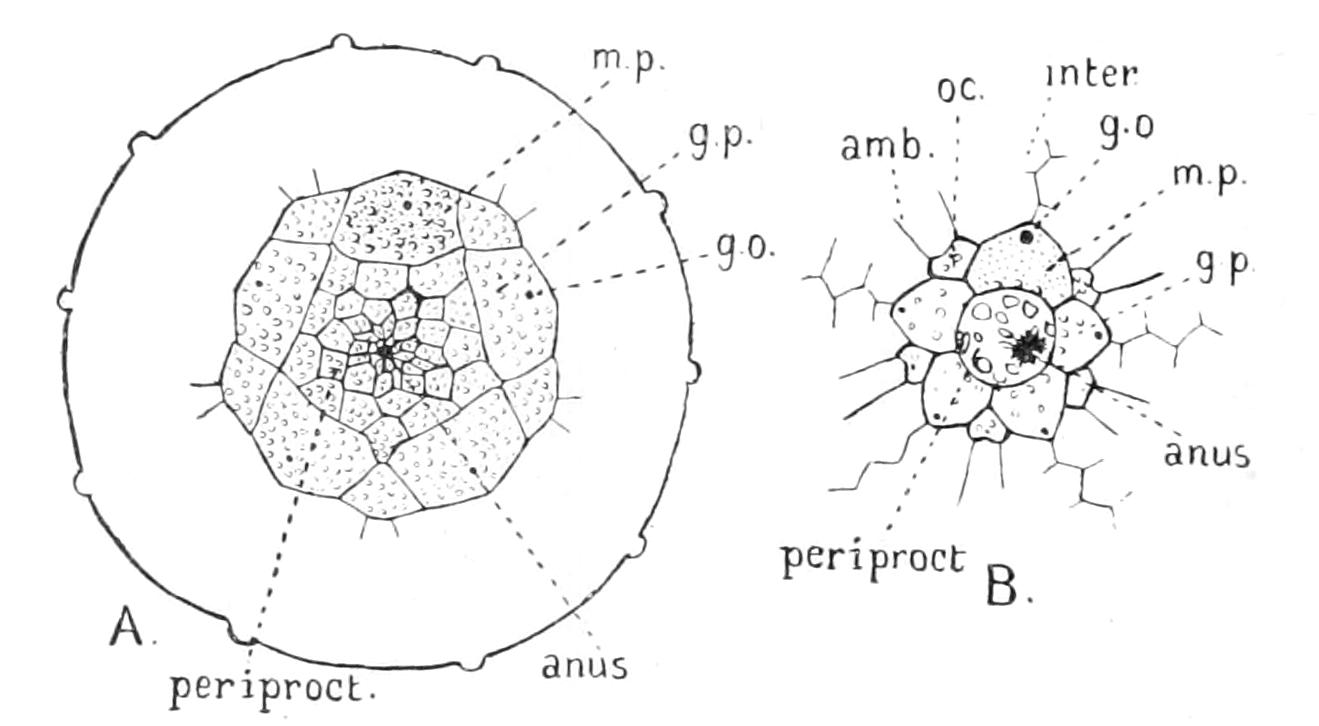 fig236