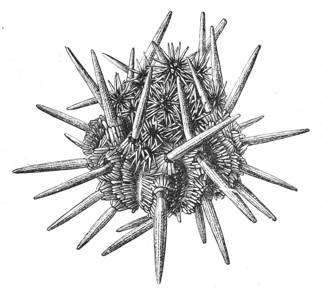 fig237