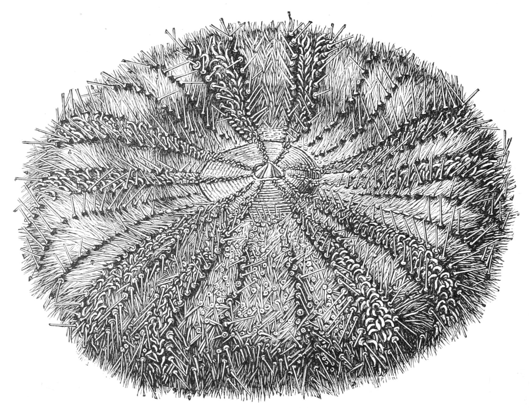 fig238