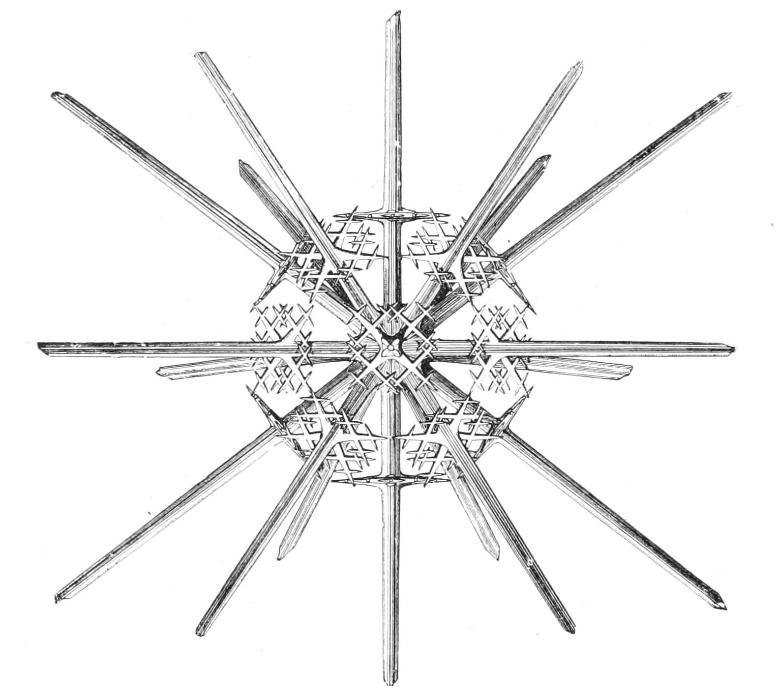 fig24