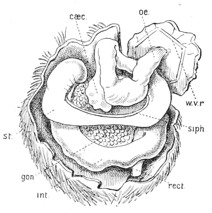 fig247