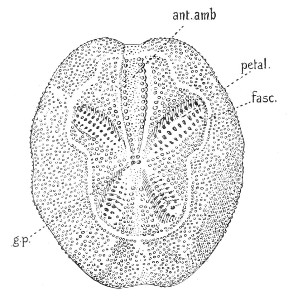 fig251