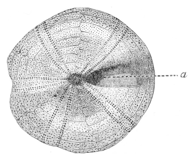 fig253