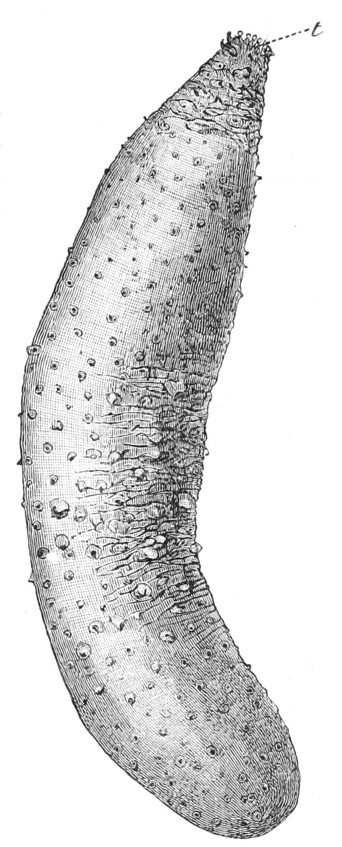 fig254