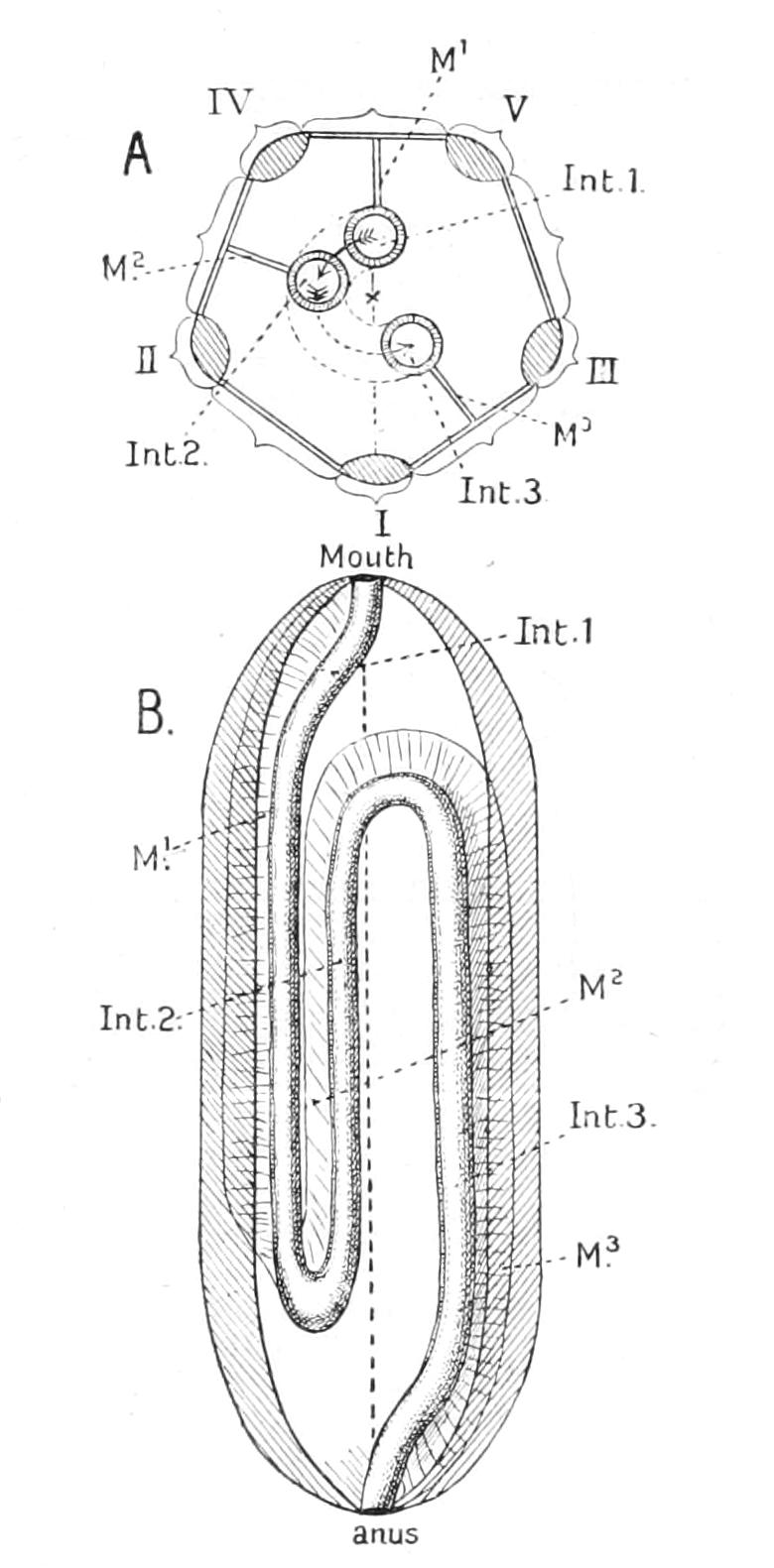 fig255